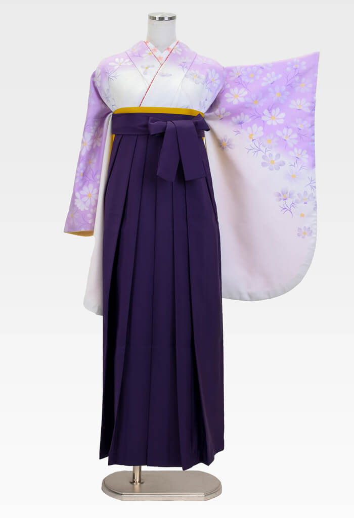 卒業式のネットレンタル袴【着物】シロ地フジにコスモス小袖+【袴】ムラサキ