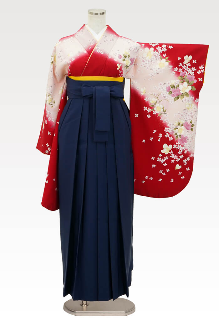 【卒業式袴レンタル/人気/安い/大学生/通販レンタル】古典大人上品（オシャレ)　赤/ピンク/紺   DDD735_KON006